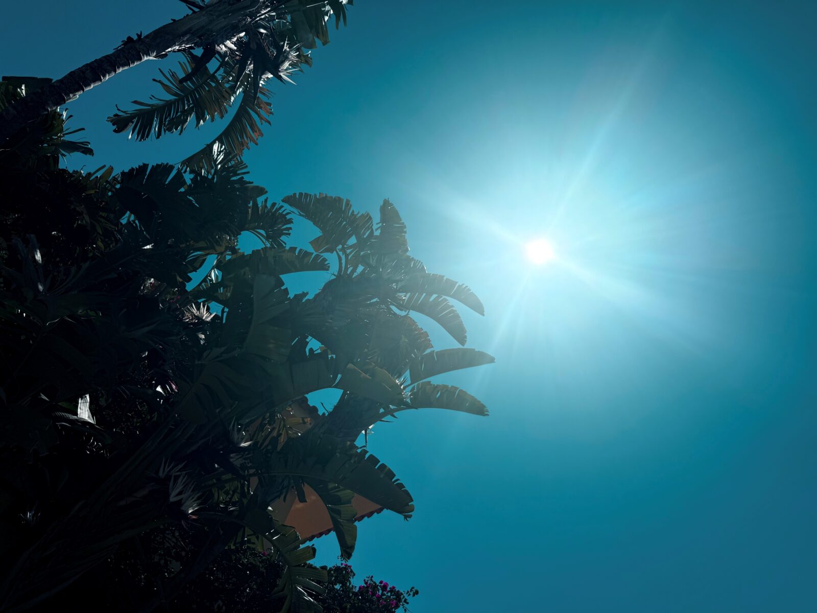SUN Screen